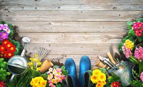 Garden Accessories