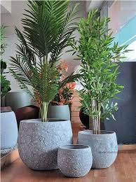 Planters