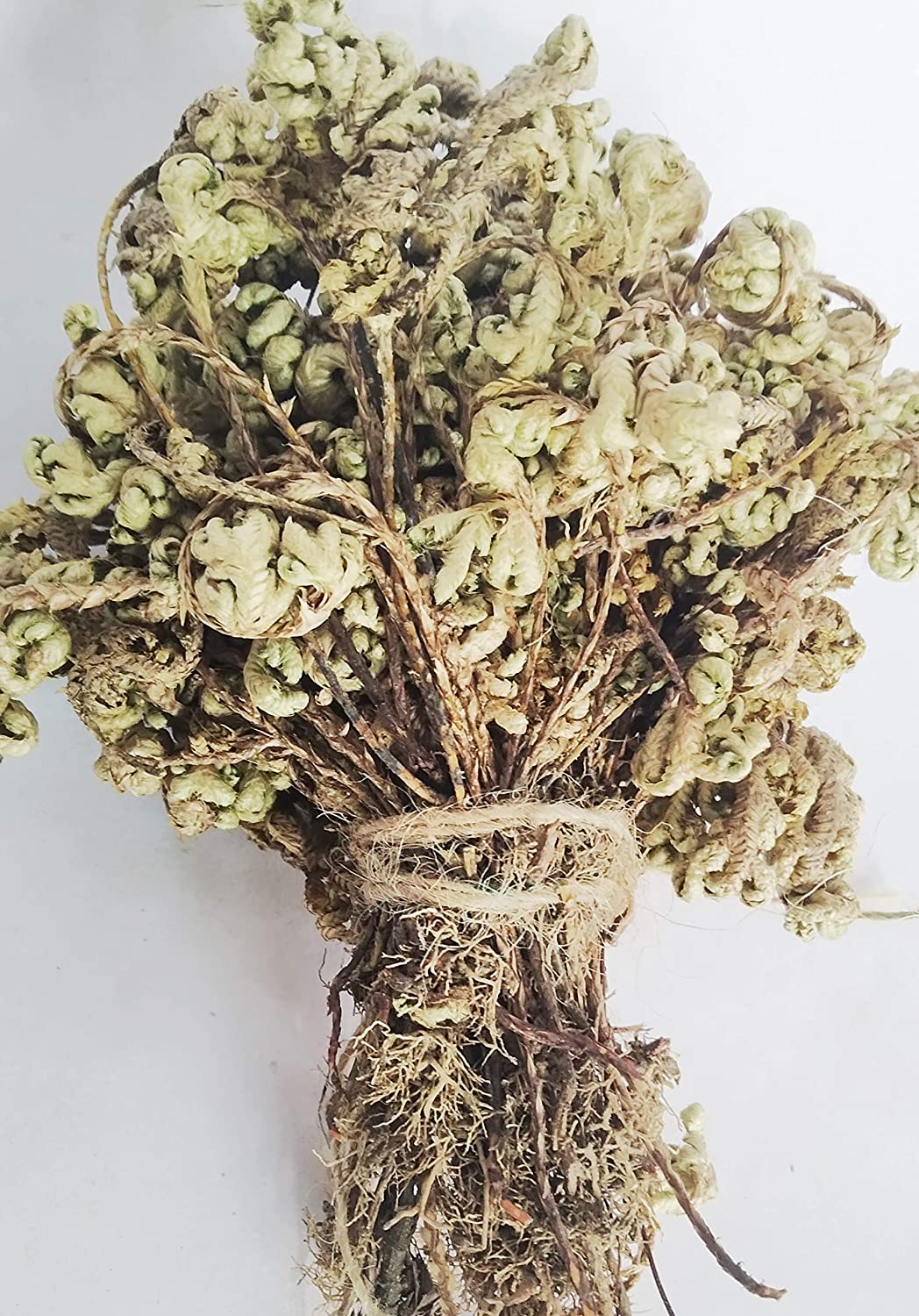 Natural Sidhh Sanjeevani/Lakshman Booti Pack of 3 PCS.