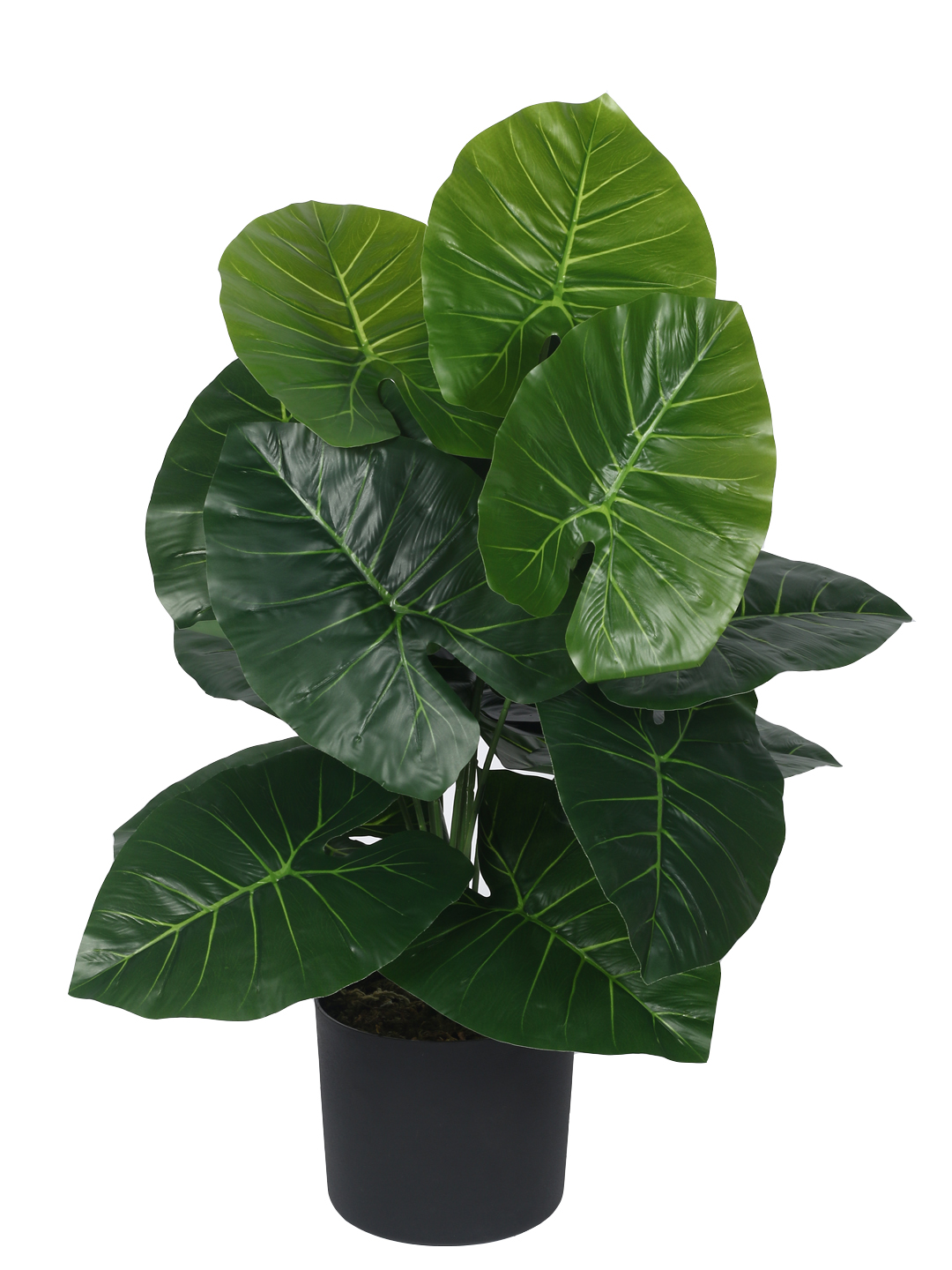 Artificial Plant 27inch Artificial Real Touch Dieffenbachia With Black Pot |Home Decor,Office Decor Perfect decor Gift,Set of 1