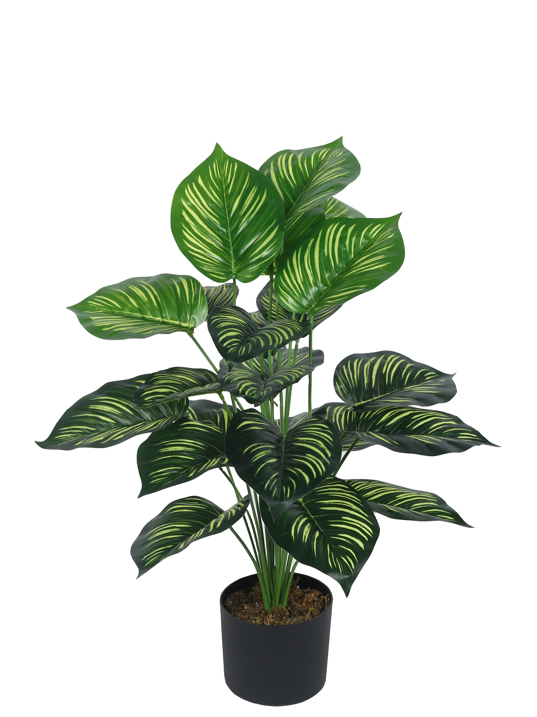 Artificial Plant 31inch Artificial Real Touch Calathea With Black Pot |Home Decor,Office Decor Perfect decor Gift,Set of 1