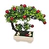 GOLDFISH1 Artificial Plant Fruits - Rabbits