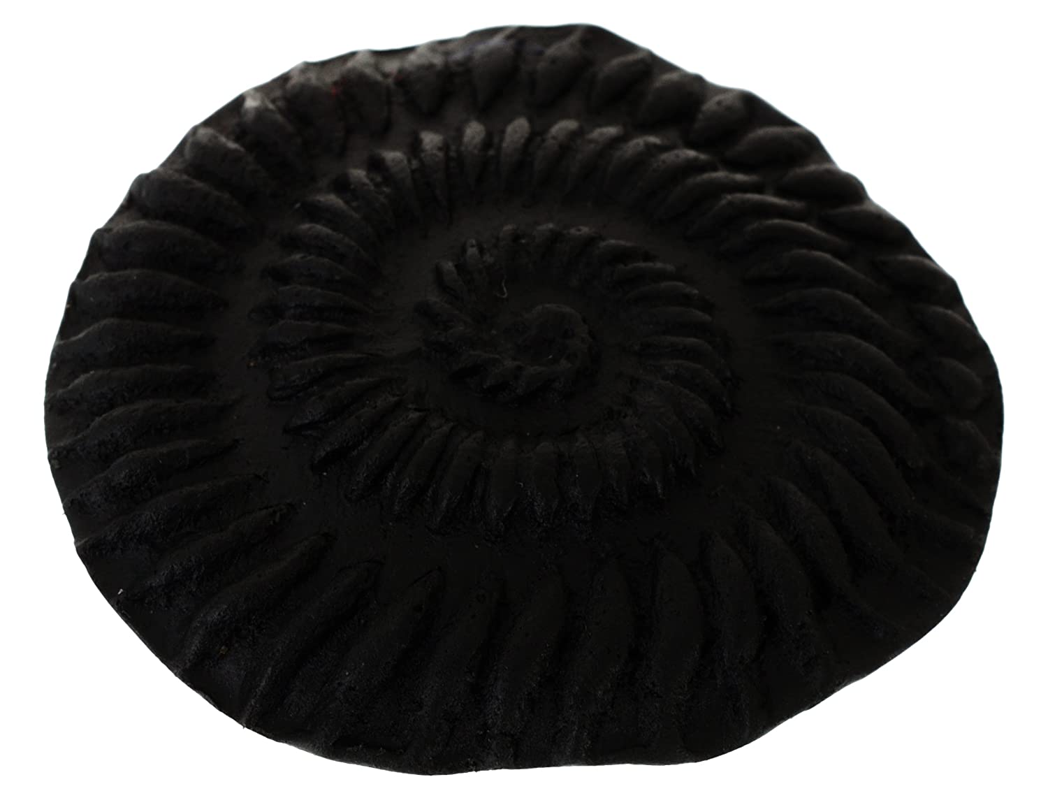 Vishnu Chakra Shaligram (5 cm x 5 cm x 1 cm, Black, Pack of 2)