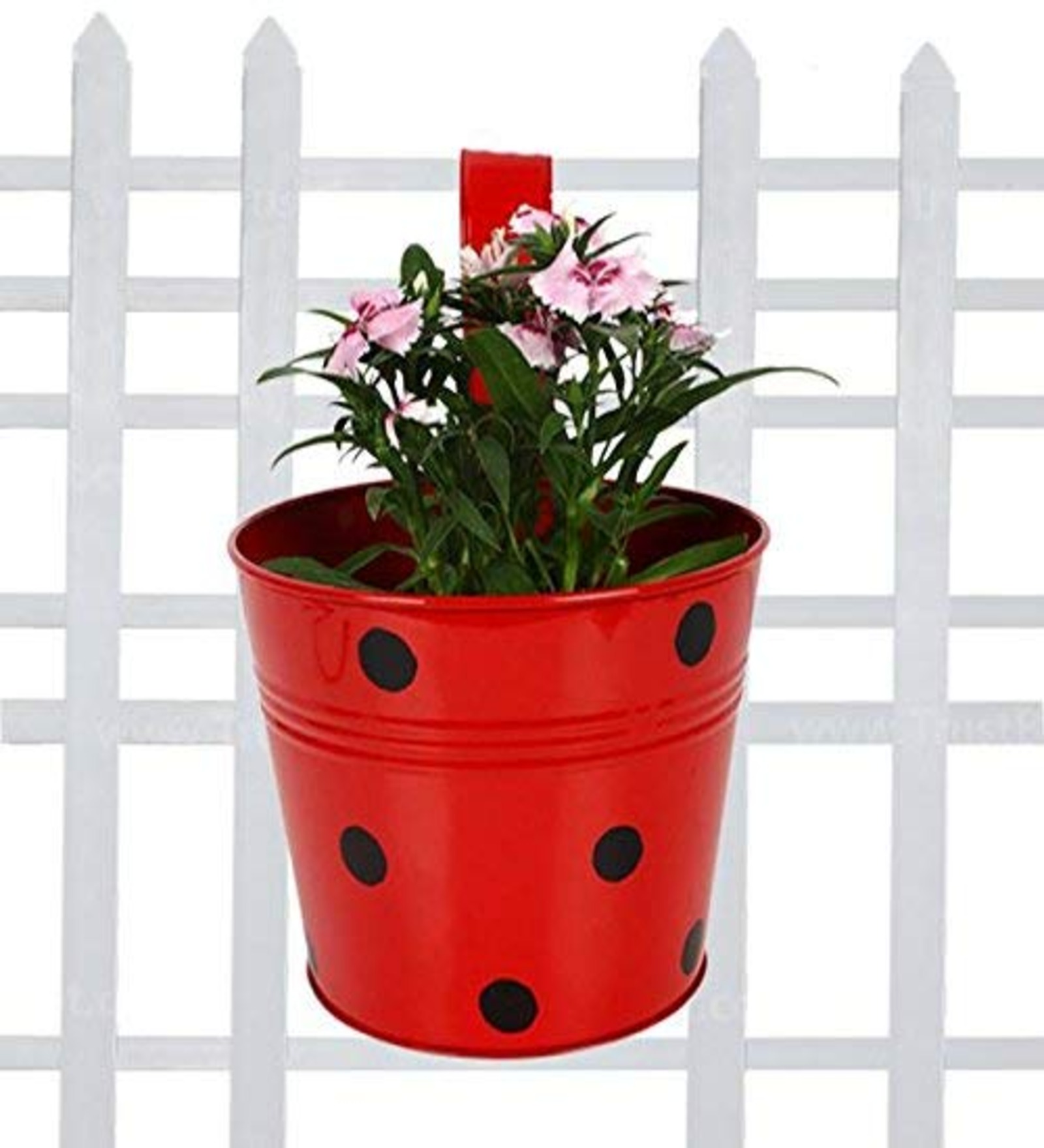 Black Polka Dotted Galvanised Metal Mug with Hooks stand | Flower/Plants Mug for Hanging in Balcony/Railing Planters Garden Home Decor Multicolor with Hooks Set of 5