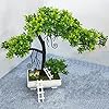 GOLDFISH1 Artificial Plant with a Lovely House and ladders.