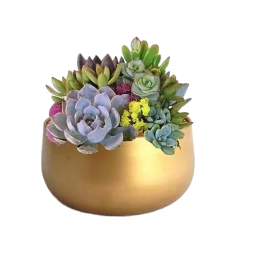 Metal Plant Pots with Drainage Hole,Indoor Planter Flower Pots, Home Garden Decor Planter for Living Room Bedroom Interior,Gold