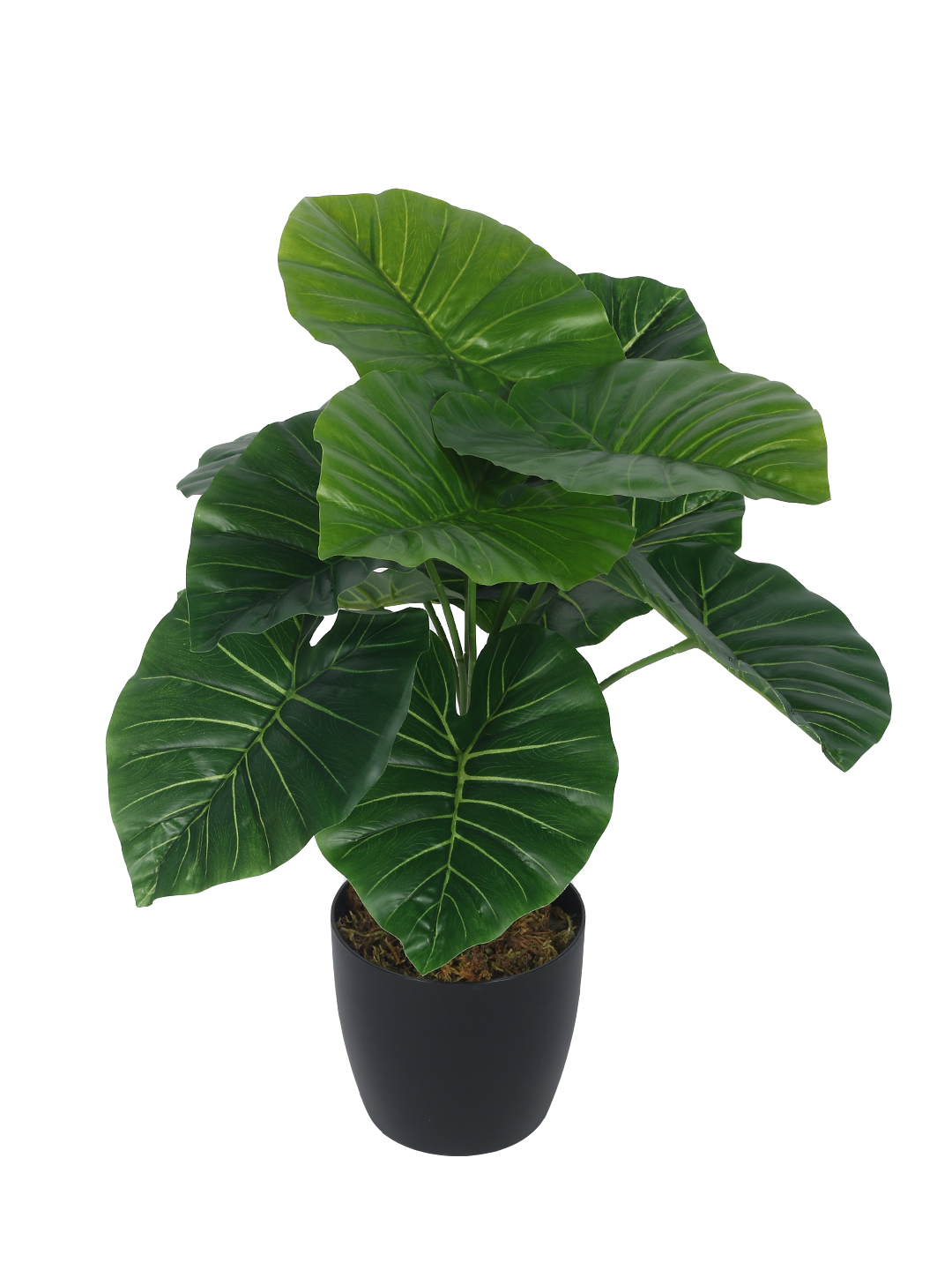 Artificial Plant  21inch Artificial Real Touch Monstera With Black Pot |Home Decor,Office Decor Perfect decor Gift,Set of 1