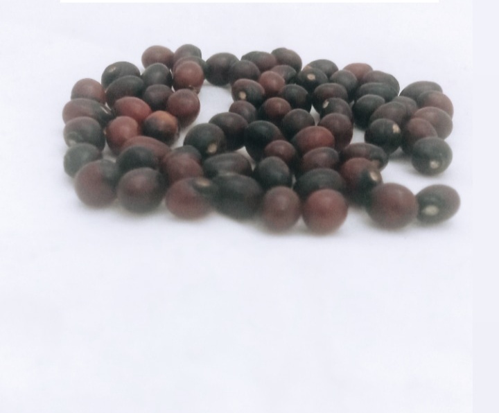 Black Chirmi Beads Goonja Gurivinta Seeds -Set Of 36 Pcs  For wealth and prosperity(6 x 5 x 2 CM).