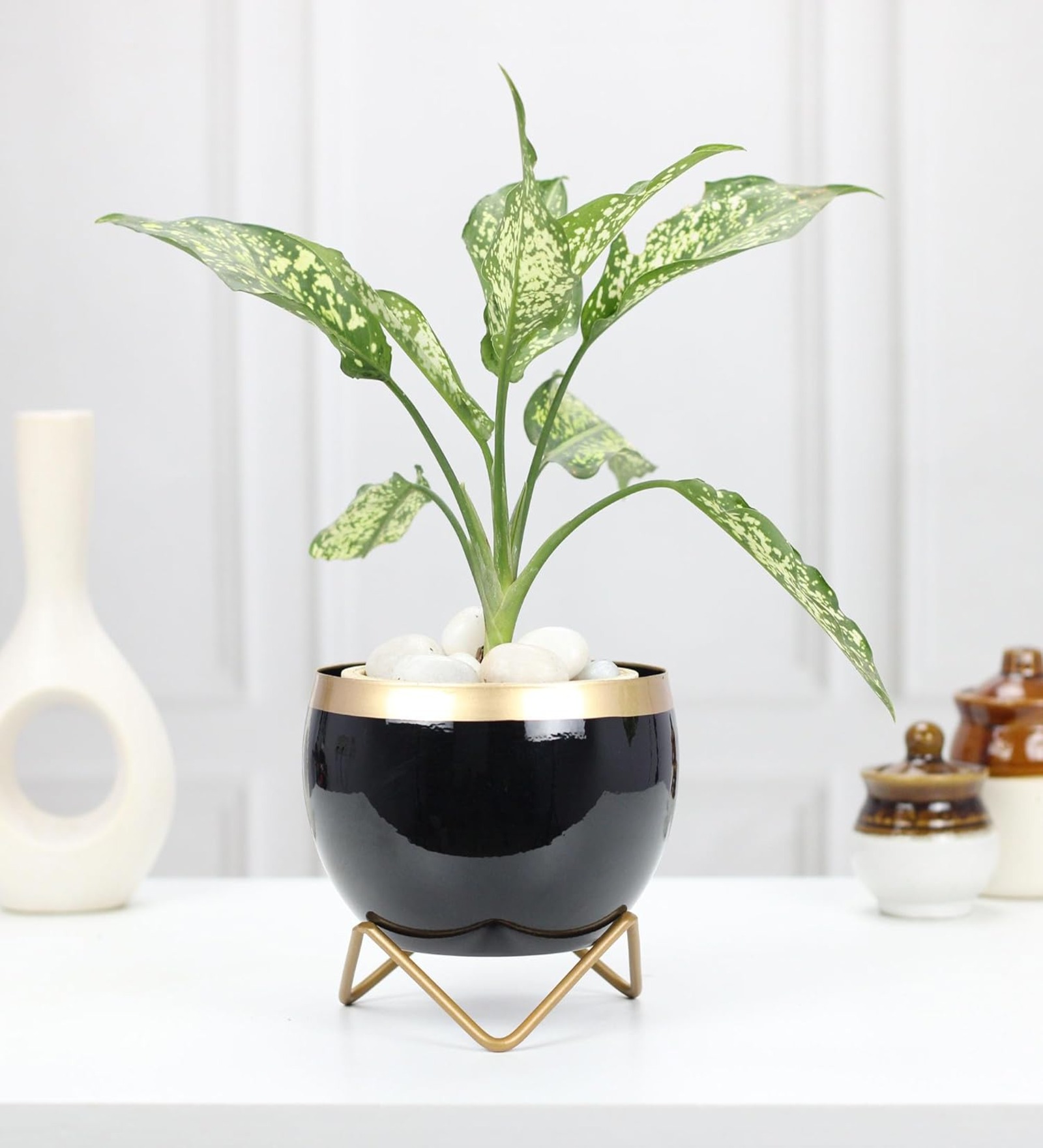 Round Shape Small Size Table Planters Drainage hole with Stand for Living Room Indoor Decorative Planter Outdoor Plant Containers Balcony Decoration Garden Decor Pot, Black