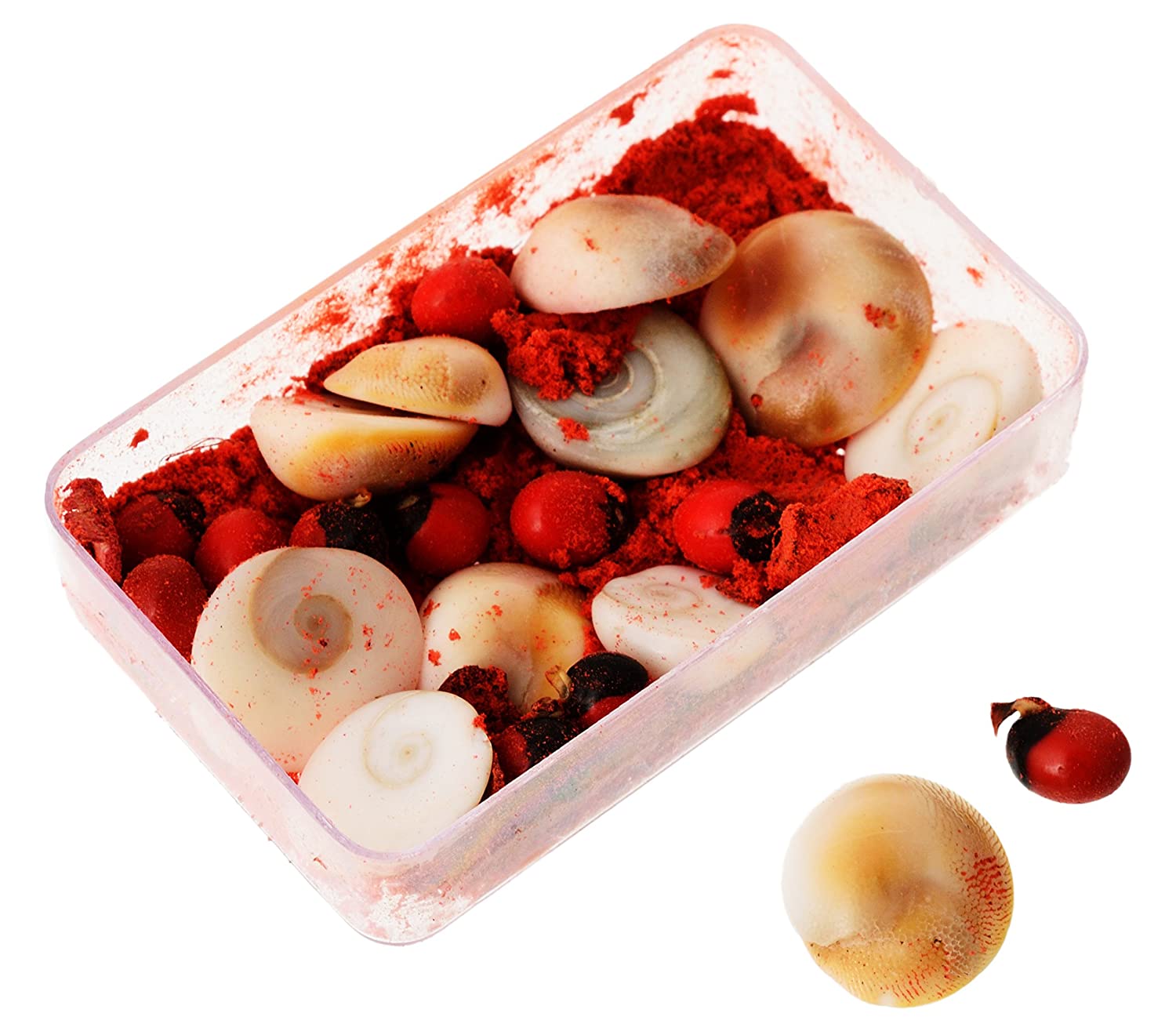 Stone Energised Gomti Chakra Set (3 cm x 5 cm x 1 cm, Pack of 11)