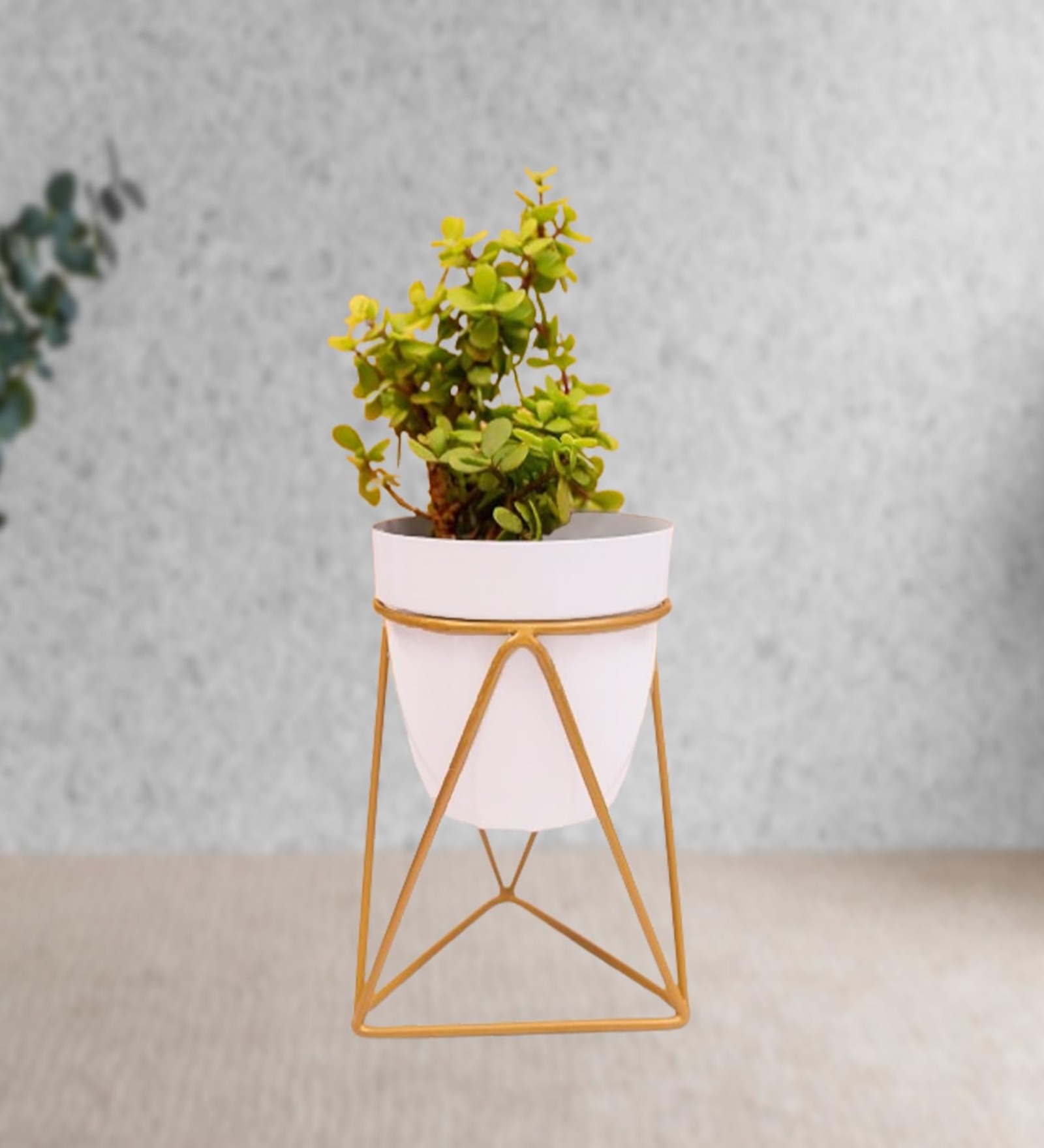 Iron Planter Pot Drainage hole with Metal Stand for Indoor and Outdoor Plants & Flowers | Table Top Planter with Stand for Living Room, Home Decor, Terrace, Balcony & Home Gardening,White