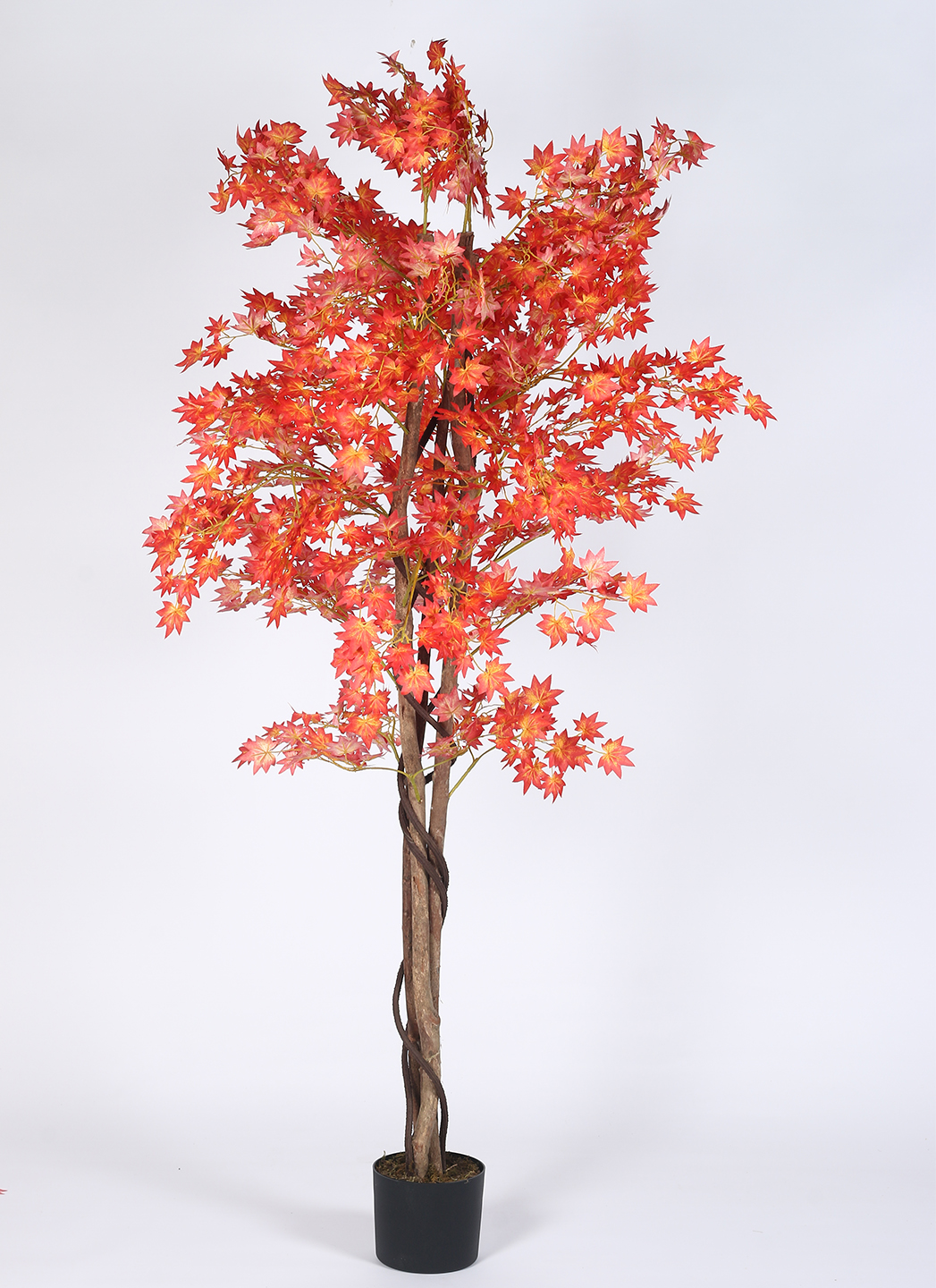 Artificial Plant 62inch Artificial Mini Maple Plant With Black Pot |Home Decor,Office Decor Perfect decor Gift,Set of 1