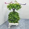 GOLDFISH1 Artificial Bonsai Plant with a Lovely Birds and ladders.
