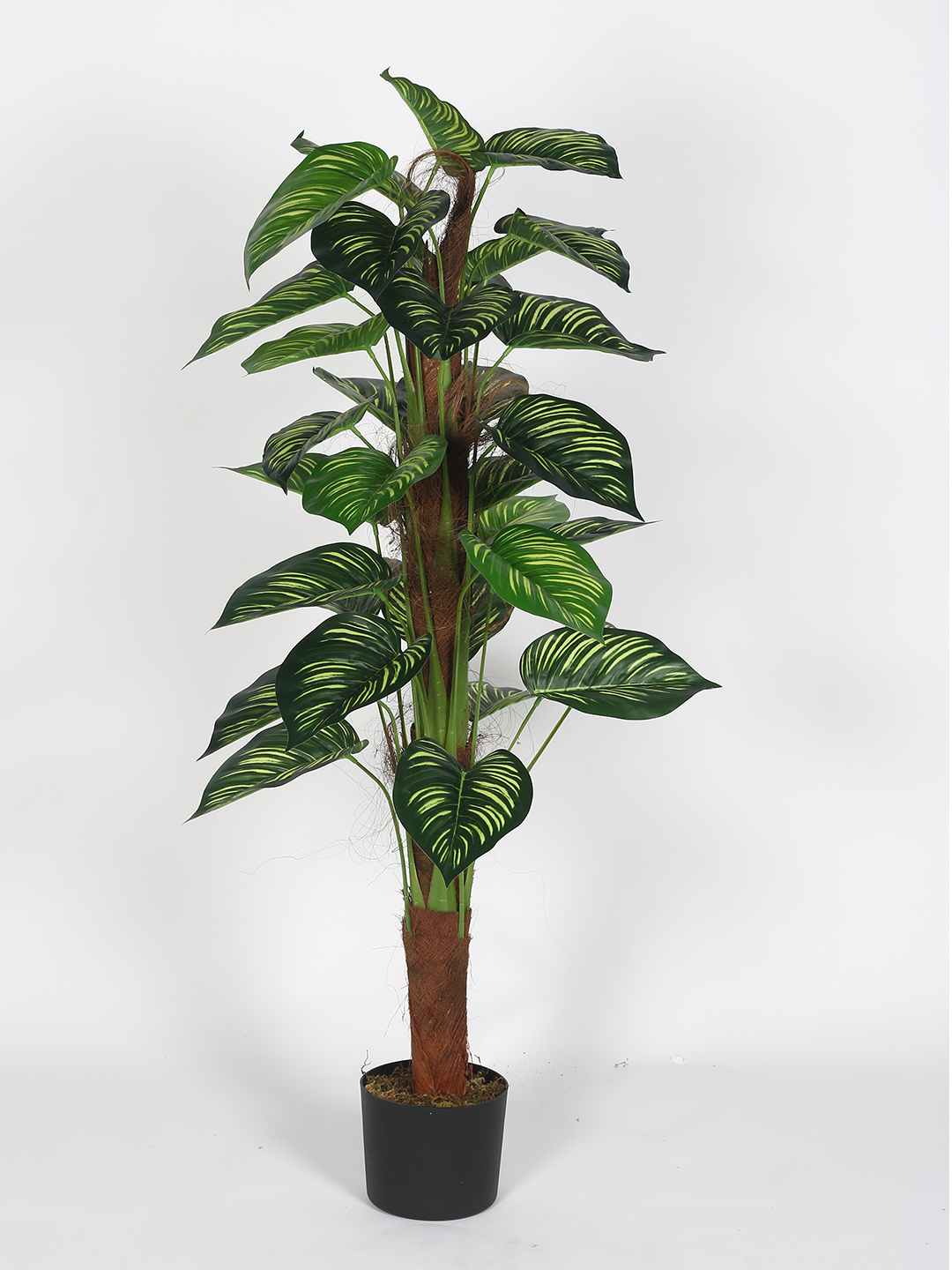 Artificial Plant  47inch Artificial Real Touch Calathea Plants With Black Pot |Home Decor,Office Decor Perfect decor Gift,Set of 1