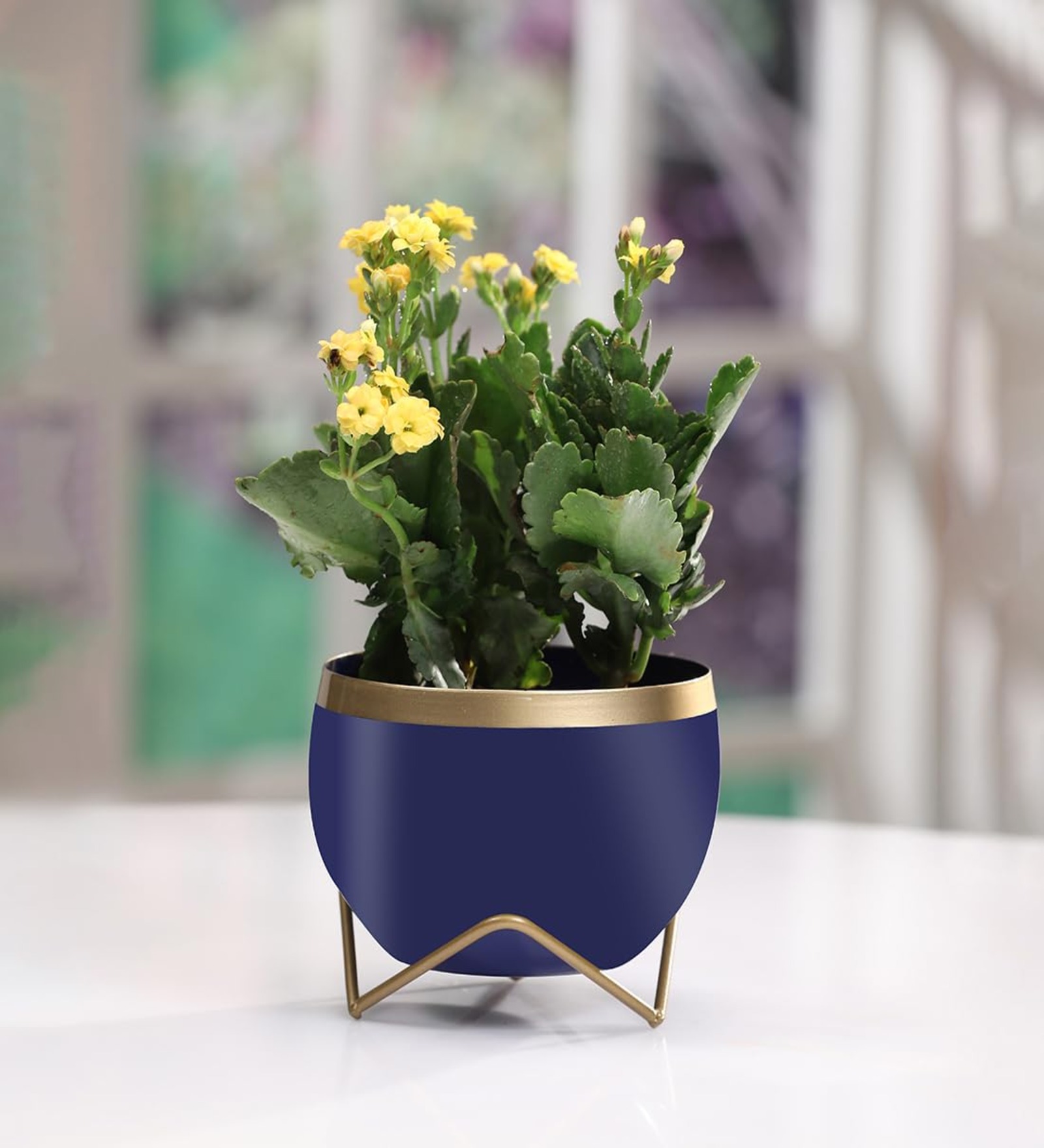 Round Shape Small Size Table Planters Drainage hole with Stand Pot for Living Room Indoor Decorative Planter Outdoor Plant Containers Balcony Decoration Garden Decor Pot,Blue