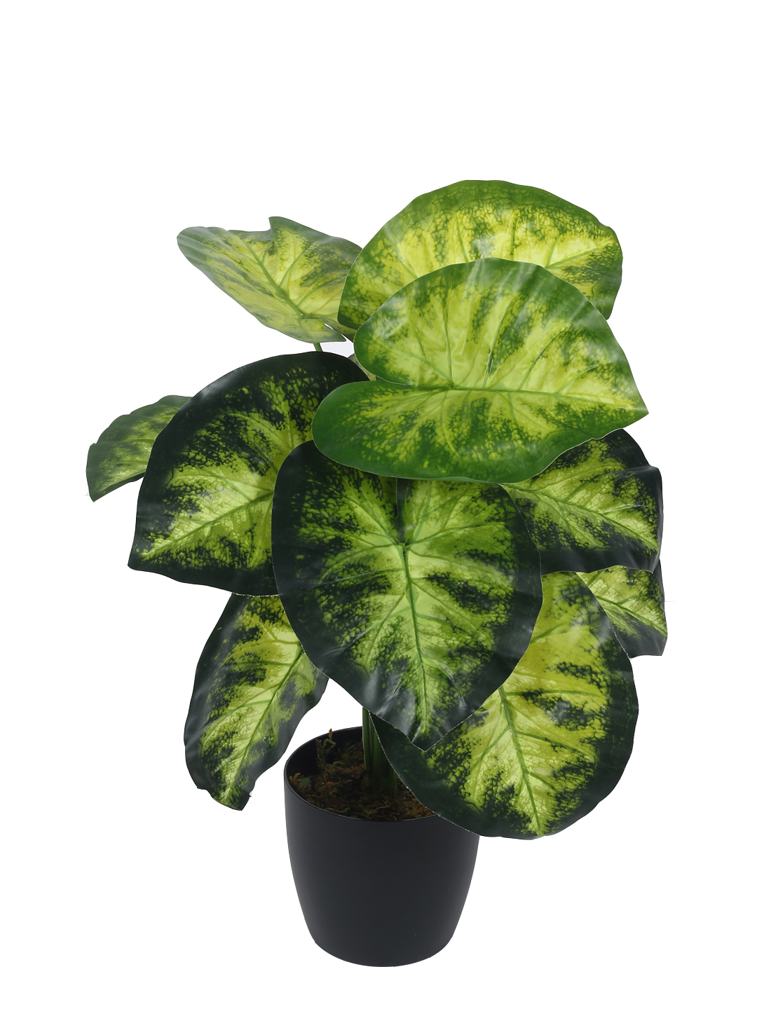 Artificial Plant 21inch Artificial Real Touch Dieffenbachia With Black Pot |Home Decor,Office Decor Perfect decor Gift,Set of 1