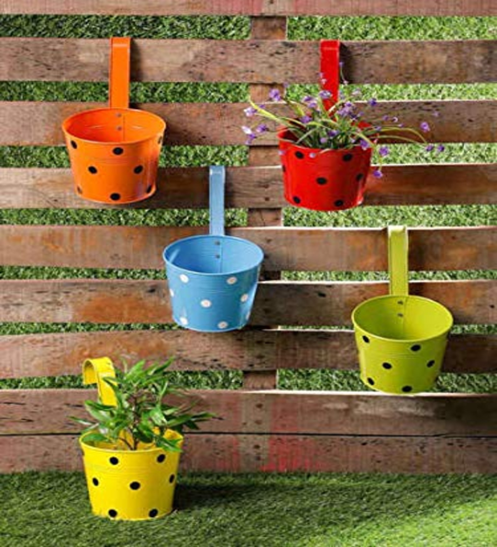 Black Polka Dotted Galvanised Metal Mug with Hooks stand | Flower/Plants Mug for Hanging in Balcony/Railing Planters Garden Home Decor Multicolor with Hooks Set of 5
